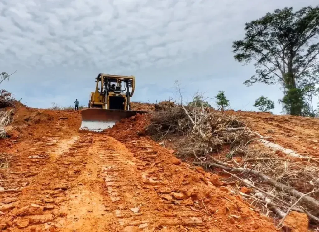 Heavy land clearing work