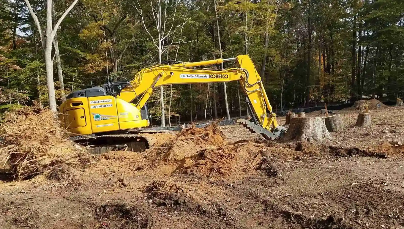 Professional land clearing work